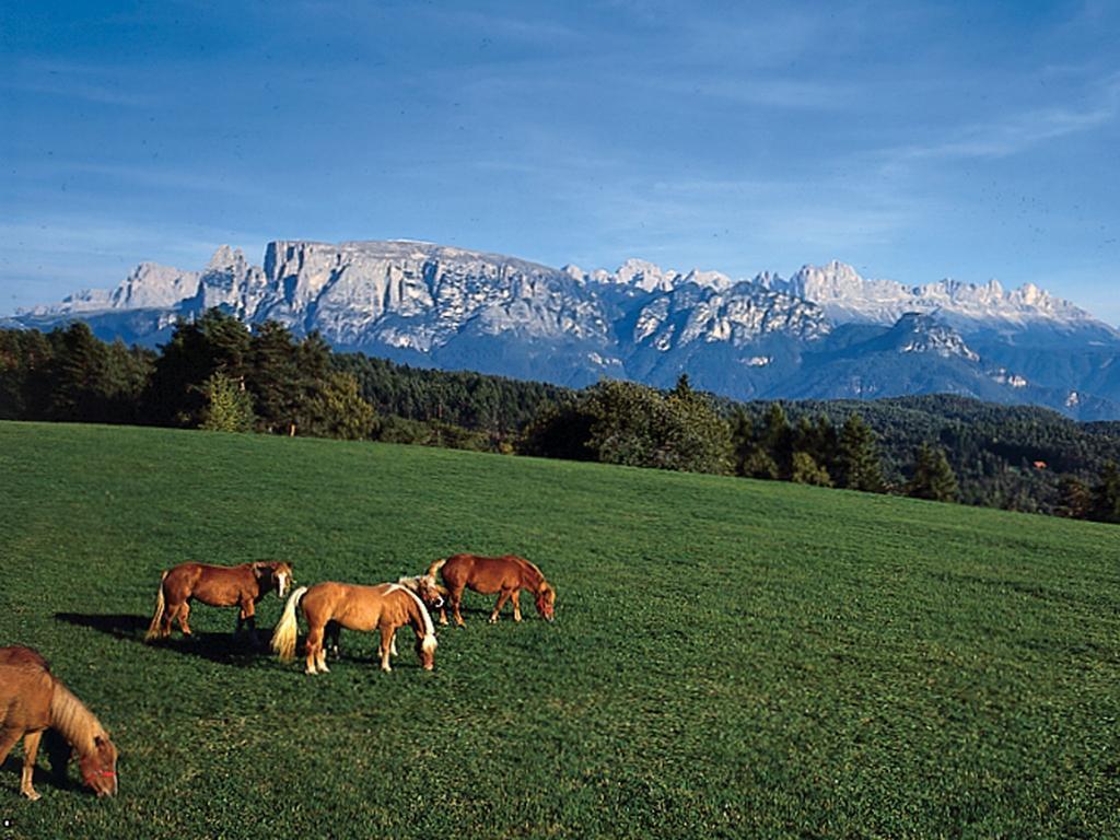 Hotel Linde 3*