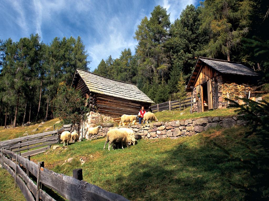 Hotel Linde